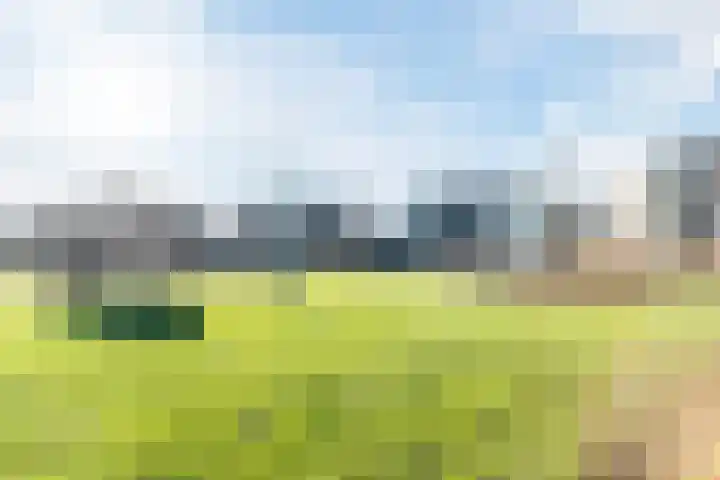 Gentiaan 6 Bodegraven thumbnail 63