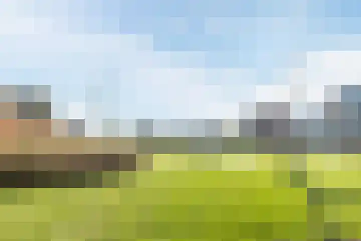 Gentiaan 6 Bodegraven thumbnail 64