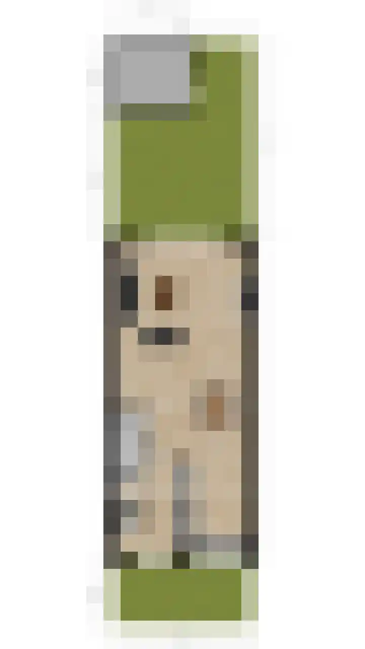 Gentiaan 6 Bodegraven thumbnail 67