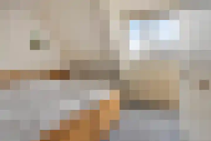 Gentiaan 85 Wolvega thumbnail 12