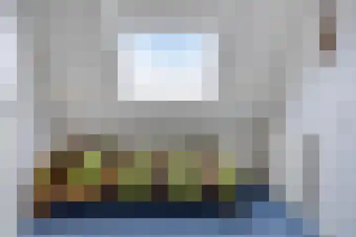 Gentiaan 85 Wolvega thumbnail 17