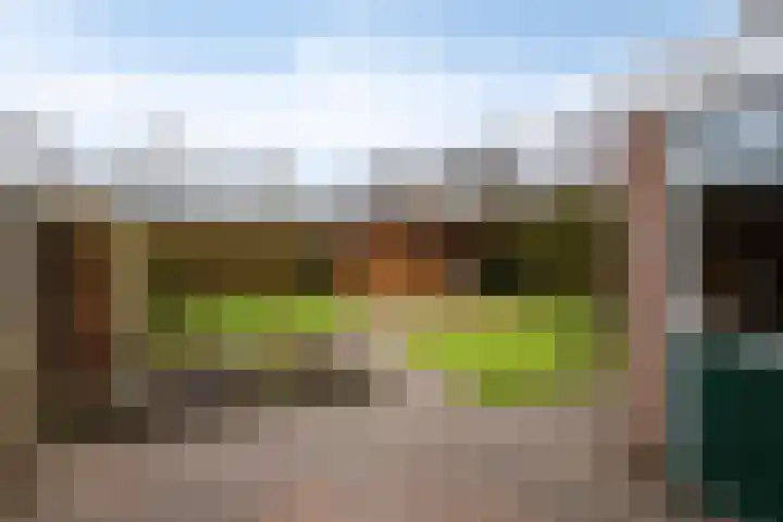 Gentiaan 85 Wolvega thumbnail 22