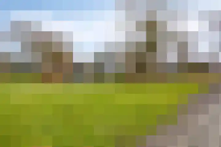 Gentiaan 85 Wolvega thumbnail 29