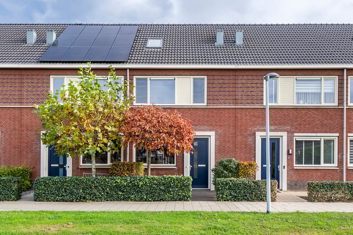 Gentiaanblauwtje 11 in Tiel foto