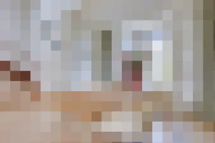 Genualaan 5 's-Hertogenbosch thumbnail 13
