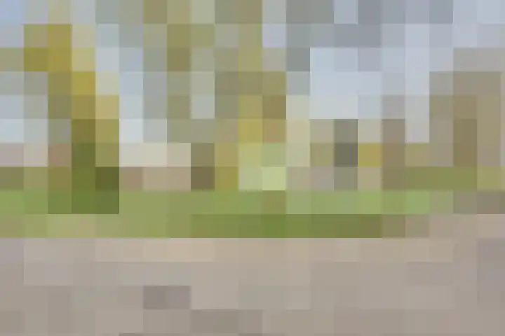 Genualaan 5 's-Hertogenbosch thumbnail 38