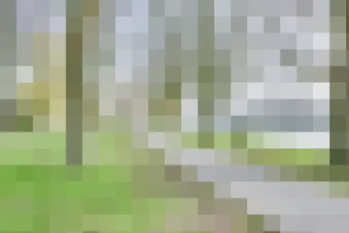 Genualaan 5 's-Hertogenbosch thumbnail 39
