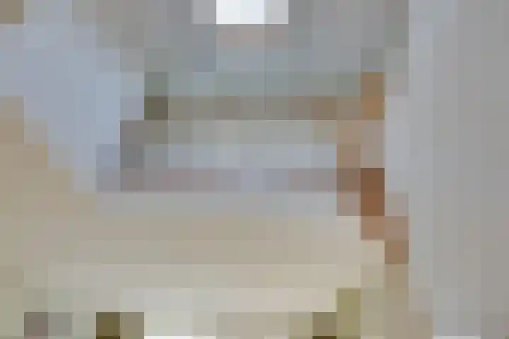 Genualaan 5 's-Hertogenbosch thumbnail 8