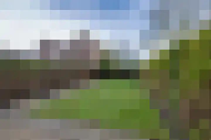Georg Heringstraat 61 Volendam thumbnail 24