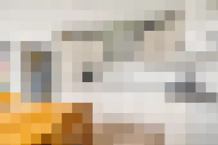 George Emersonstrjitte 25 Wirdum thumbnail 20