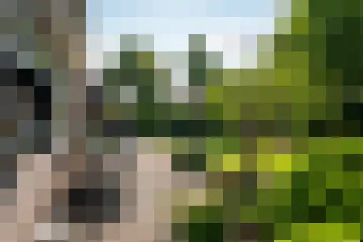 George Emersonstrjitte 25 Wirdum thumbnail 30