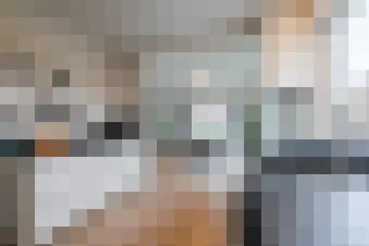 Geraldadrift 1 Uithuizen thumbnail 12