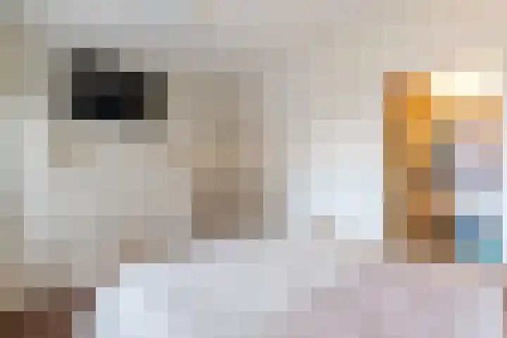 Geraldadrift 1 Uithuizen thumbnail 15