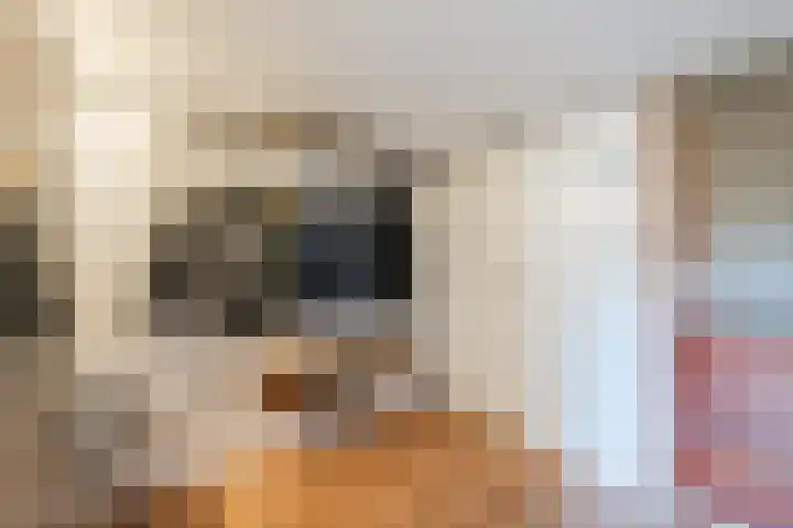 Geraldadrift 1 Uithuizen thumbnail 24