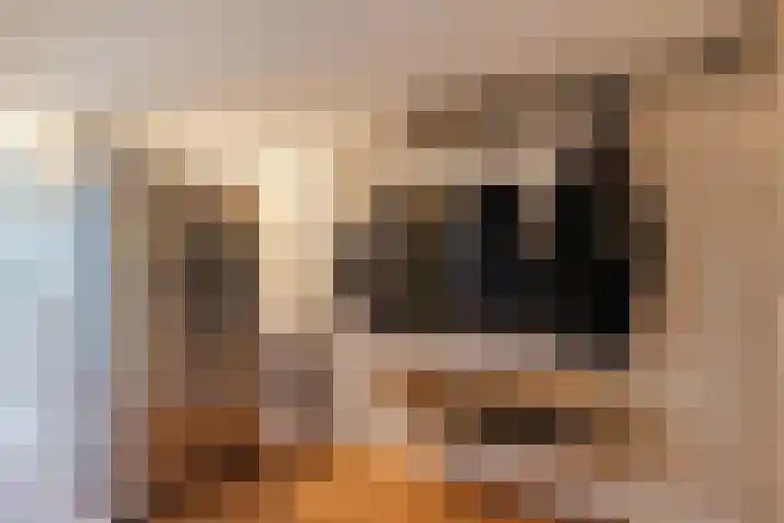 Geraldadrift 1 Uithuizen thumbnail 25