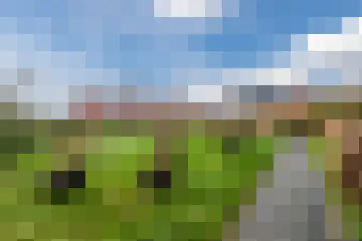 Geraldadrift 1 Uithuizen thumbnail 36