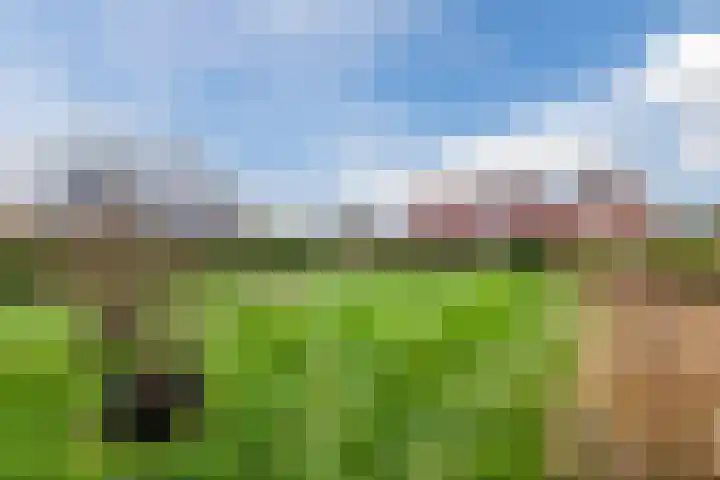 Geraldadrift 1 Uithuizen thumbnail 37