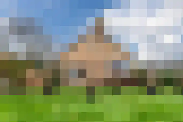 Geraldadrift 1 Uithuizen thumbnail 38