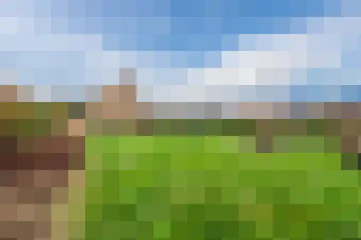 Geraldadrift 1 Uithuizen thumbnail 39