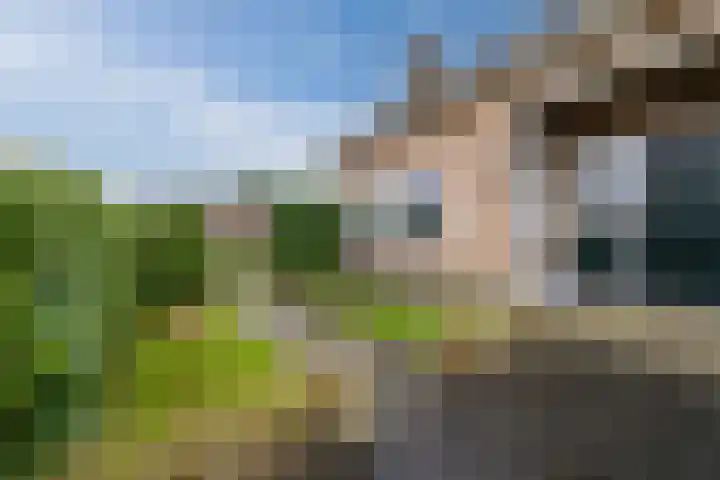 Geraldadrift 1 Uithuizen thumbnail 5