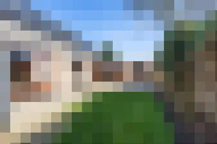 Geraldadrift 5 Uithuizen foto 3