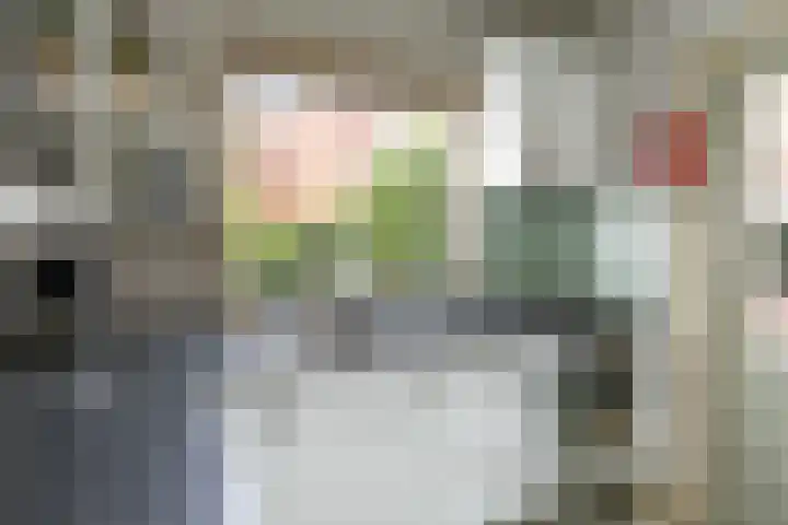 Geraniumstraat 2 Sappemeer foto 2