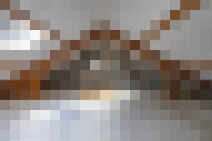 Geraniumstraat 2 Sappemeer thumbnail 25