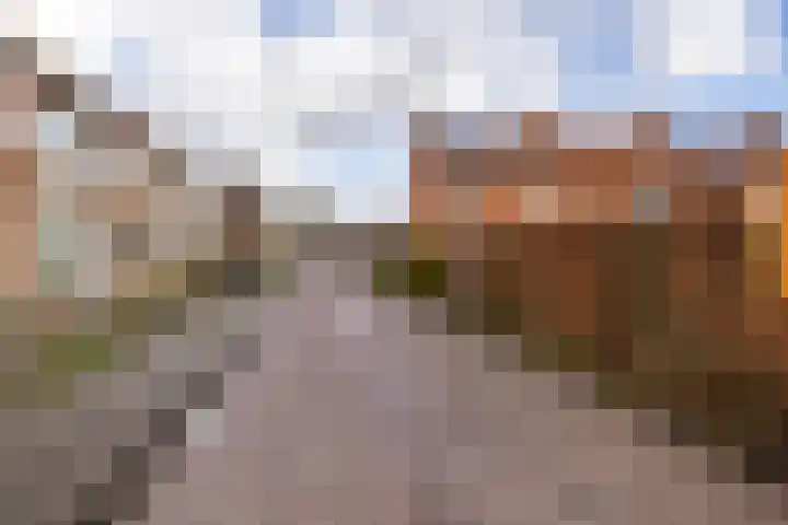 Geraniumstraat 2 Sappemeer thumbnail 36