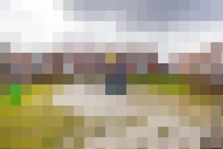 Geraniumstraat 2 Sappemeer thumbnail 37