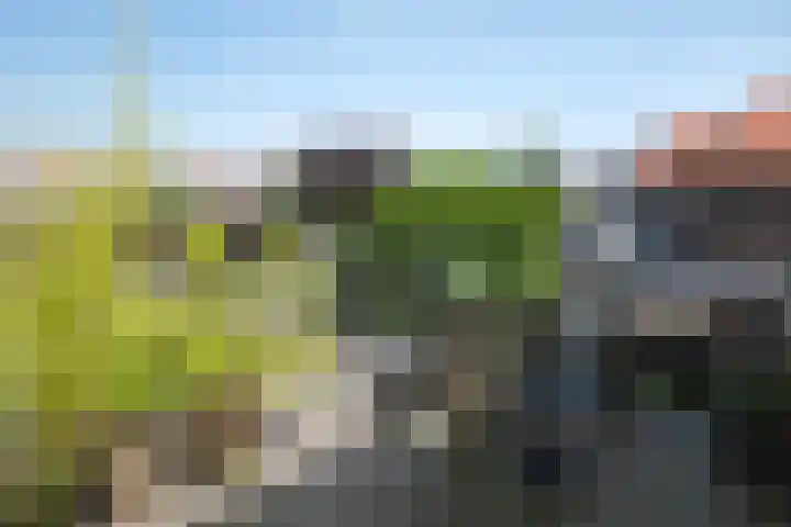 Geraniumstraat 22 Almelo thumbnail 22