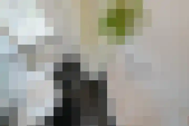 Geraniumstraat 22 Almelo thumbnail 24