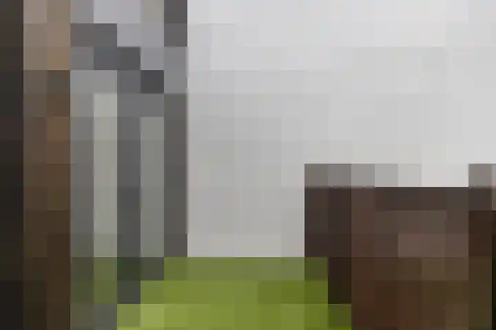 Geraniumstraat 35 Eindhoven thumbnail 15