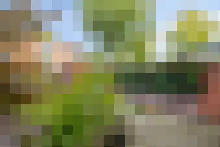 Gerard Bromlaan 4 Eindhoven thumbnail 26