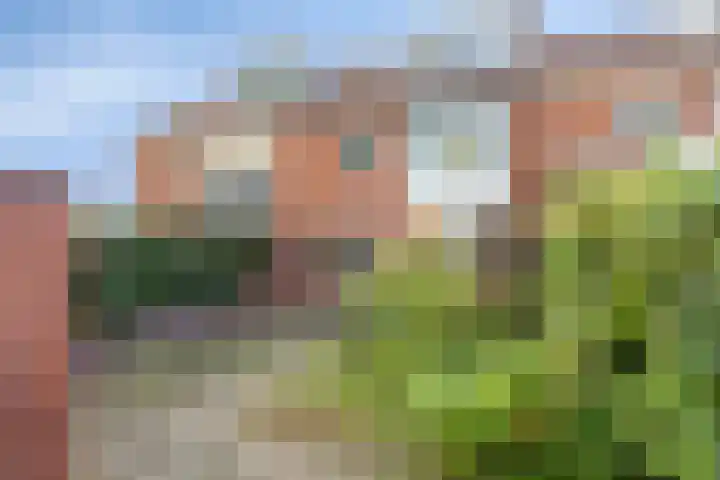 Gerard Bromlaan 4 Eindhoven thumbnail 28