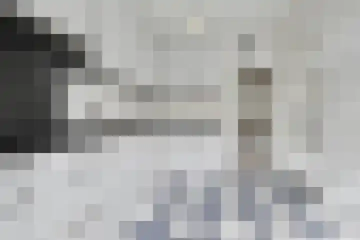 Gerard Bruninglaan 4 Bladel thumbnail 11