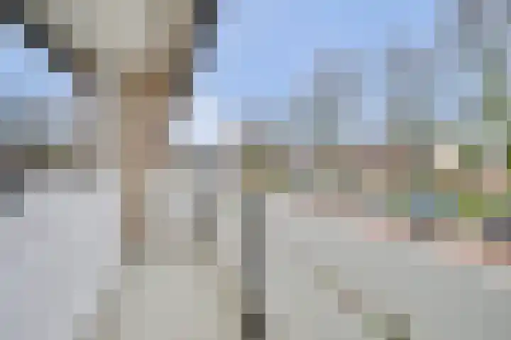 Gerard Bruninglaan 4 Bladel thumbnail 21