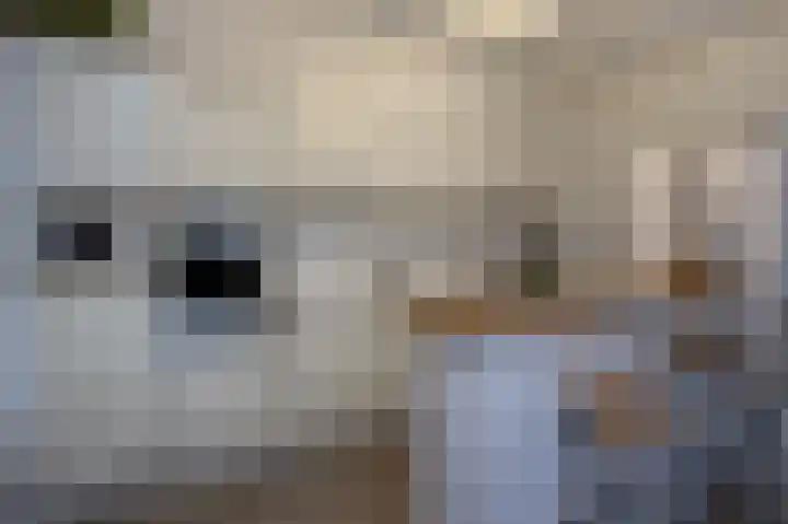 Gerard Bruninglaan 81 Bladel thumbnail 10