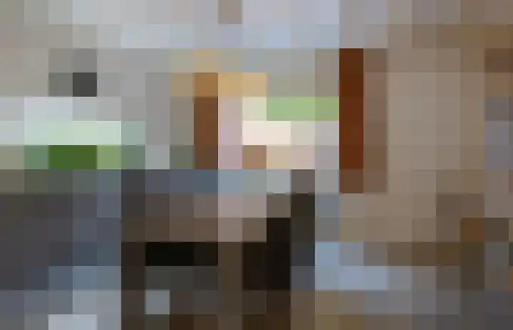 Gerard Bruninglaan 81 Bladel thumbnail 7