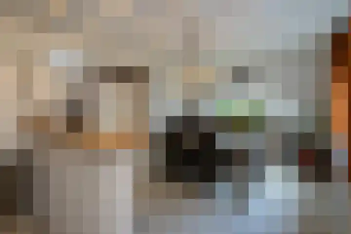 Gerard Bruninglaan 81 Bladel thumbnail 8