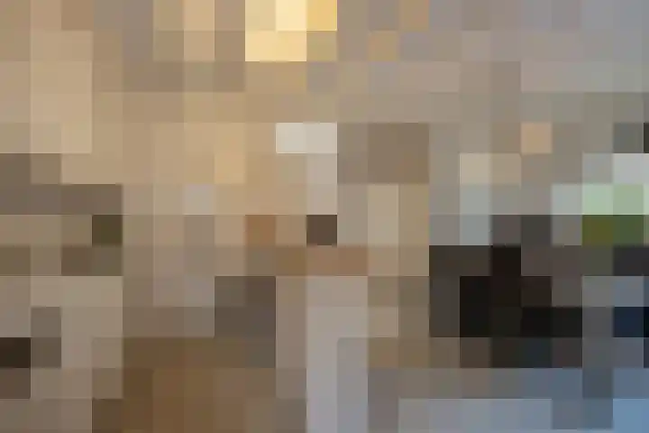 Gerard Bruninglaan 81 Bladel thumbnail 9
