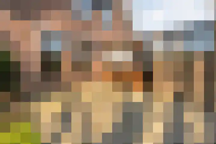 Gerard Doustraat 1 Hardenberg thumbnail 59