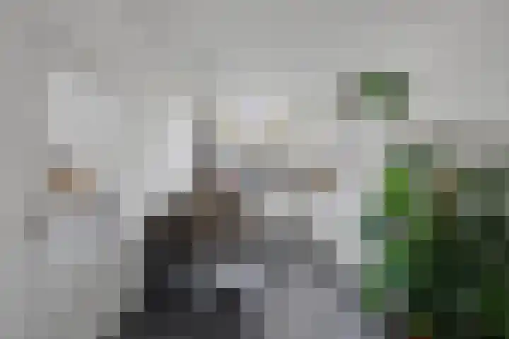 Gerard Doustraat 17 Almelo thumbnail 7