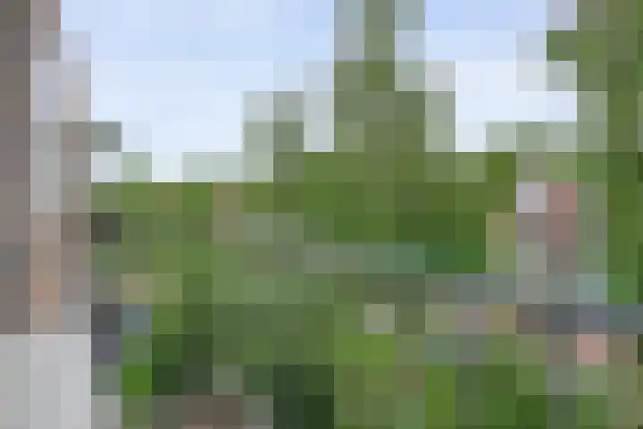 Gerard Doustraat 59 Assen thumbnail 26
