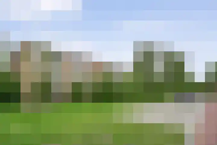 Gerard Doustraat 59 Assen thumbnail 36