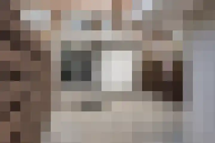 Gerard Leeustraat 9 Gouda thumbnail 27