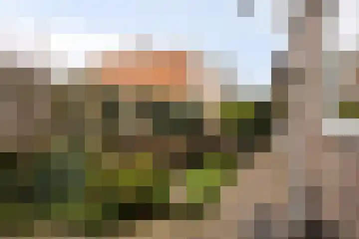 Gerard van Dinterstraat 24 Rosmalen thumbnail 24