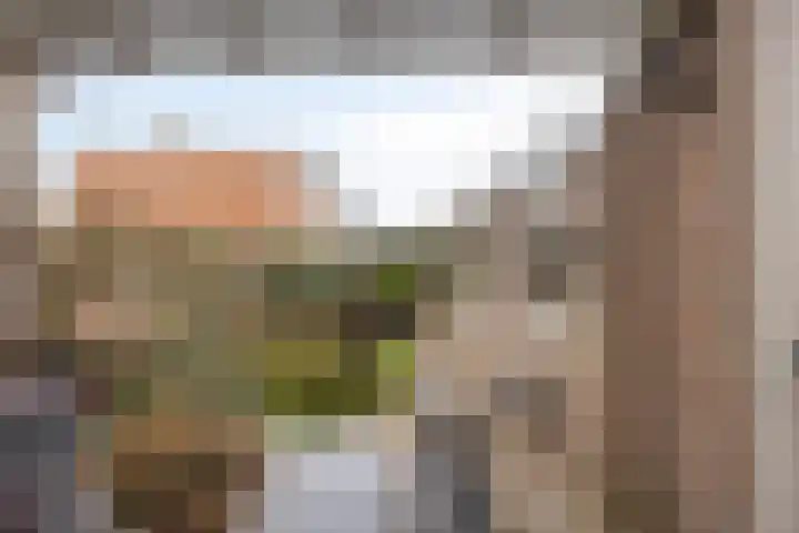 Gerard van Dinterstraat 24 Rosmalen thumbnail 29