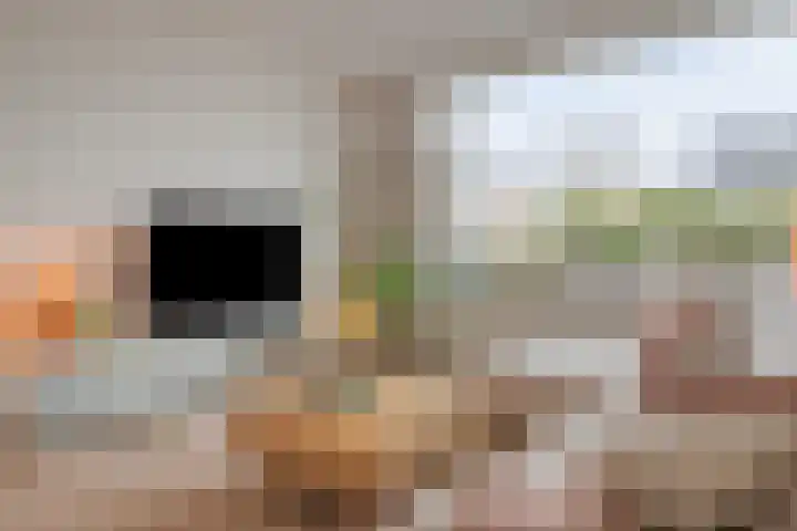 Gerard van Dinterstraat 39 Rosmalen thumbnail 5