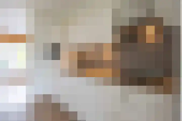 Gerben Colmjonwei 22 Leeuwarden thumbnail 12