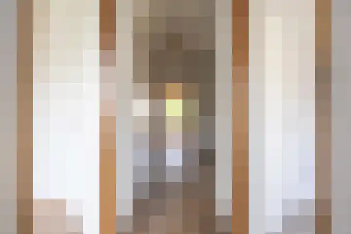 Gerben Colmjonwei 22 Leeuwarden thumbnail 7